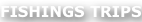 shapeimage_15_link_0