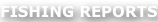 shapeimage_25_link_0