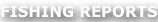 shapeimage_15_link_0