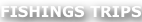 shapeimage_5_link_0